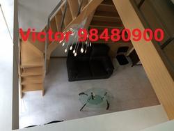 Icon (D2), Apartment #136994672